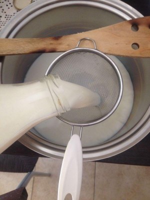 2.jpg (55.53 KiB) Osservato 4267 volte 2.jpg