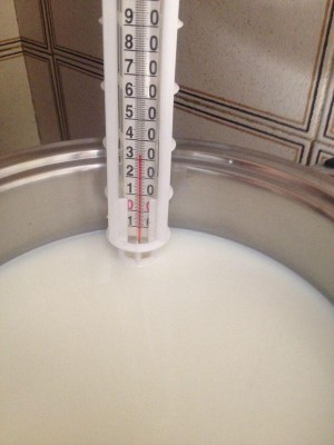 3.jpg (45.68 KiB) Osservato 4267 volte 3.jpg