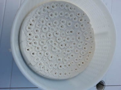 gorgo.jpg (35 KiB) Osservato 1361 volte gorgo.jpg
