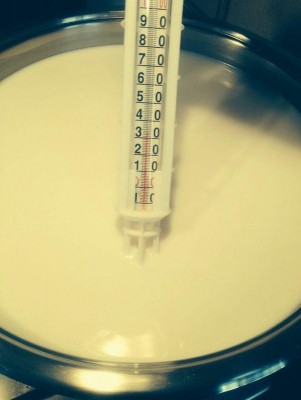 Listener (1).jpg (34.13 KiB) Osservato 3750 volte Listener (1).jpg