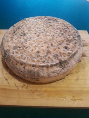 Gorgo.jpg (143.81 KiB) Osservato 2003 volte Gorgo.jpg