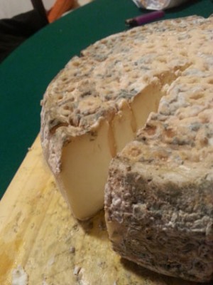 gorgo1.jpg (54.39 KiB) Osservato 1899 volte gorgo1.jpg