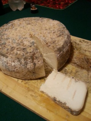 gorgo.jpg (50.97 KiB) Osservato 1899 volte gorgo.jpg