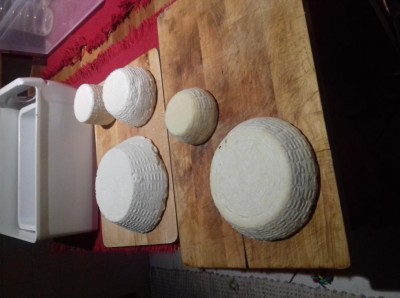 IMG-20180212-WA0088.jpeg (64.12 KiB) Osservato 2307 volte IMG-20180212-WA0088.jpeg