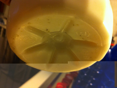 Il latte "impuro" / 1.jpg 1.jpg