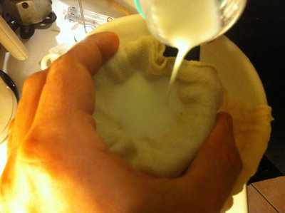 Il filtraggio del latte ovino / 2.jpg 2.jpg