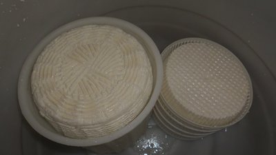 Tuma rivoltata e messa a riposare / CIMG1012.JPG CIMG1012.JPG