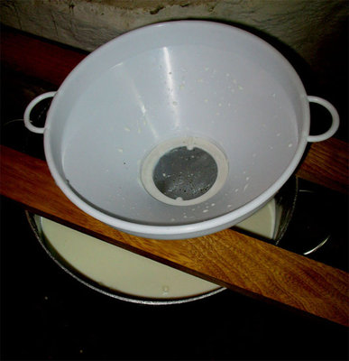 Iniziamo col filtrare il latte, munto un ora prima. / FILTRAGGIO LATTE.jpg FILTRAGGIO LATTE.jpg