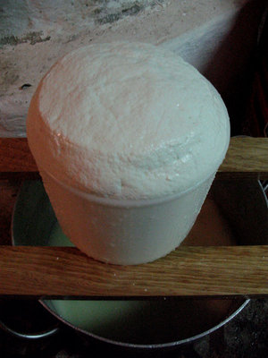 Pronta al trasferimento in Cassone di stufatura / CAGLIATA IN STAMPO 2.jpg CAGLIATA IN STAMPO 2.jpg