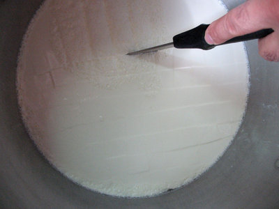 PRIMO TAGLIO A CUBI.jpg (84.54 KiB) Osservato 5510 volte PRIMO TAGLIO A CUBI.jpg