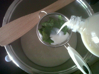 Filtraggio latte. / 171.jpg 171.jpg