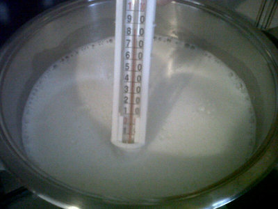 Latte a 86 gradi. / 172.jpg 172.jpg