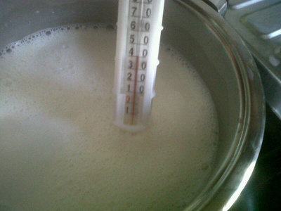 Abbattimento a 40 gradi. / 173.jpg 173.jpg