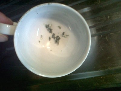 Asportazione penicillium roqueforti da un pezzo vero di roquefort. / R3.JPG R3.JPG