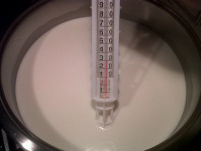 Riscaldamento fino a raggiungimento temperatura di innesto fermento. / R4.JPG R4.JPG