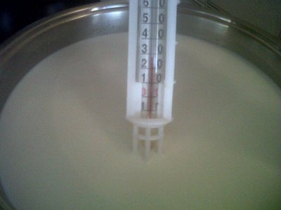 Riscaldamento latte a 28 gradi, temperatura di inoculo lattoinnesto. / T3.JPG T3.JPG