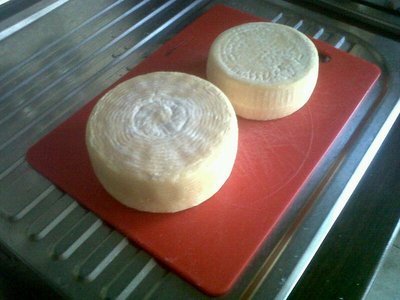 Stato stagionatura dopo 20 giorni torta del casar. / T17.JPG T17.JPG