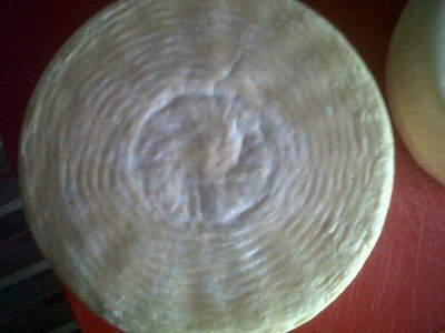 Micro fessure sul piatto della forma grande. / T18.JPG T18.JPG