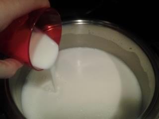 Inoculo starter, (yogurt 2%) / 4.jpg 4.jpg