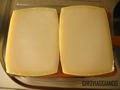 PECORINO SEMICOTTO.jpg PECORINO SEMICOTTO.jpg