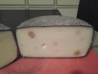 Listener (3).jpg Listener (3).jpg