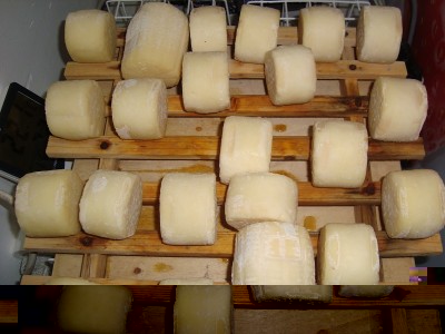 qui sulla griglia in legno ad asciugare / DSC00177.JPG DSC00177.JPG