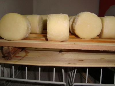 DSC00178.JPG (135.13 KiB) Osservato 1428 volte DSC00178.JPG