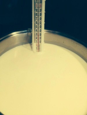 2.jpg (22.96 KiB) Osservato 2743 volte 2.jpg