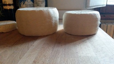 Forme appena fatte / rid1.jpg rid1.jpg