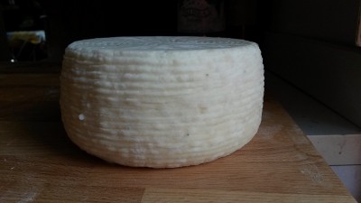 forma piccola 700g / rid3.jpg rid3.jpg