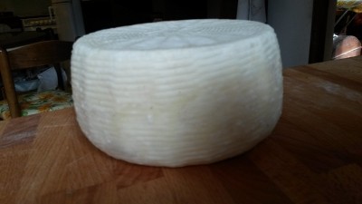 forma grande 1280g / rid4.jpg rid4.jpg