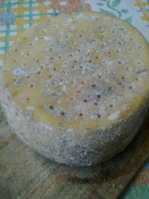 2876.jpg (159.36 KiB) Osservato 3560 volte 2876.jpg