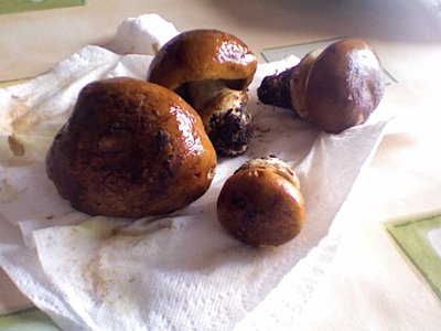 Foto d'insieme, cappella. / Photo 57.jpg Photo 57.jpg