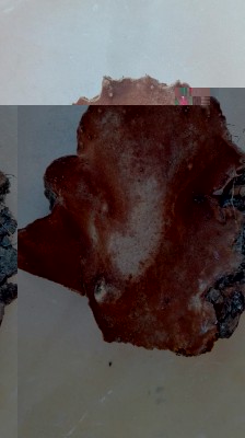 IMG_20160722_172643.jpg (61.26 KiB) Osservato 1294 volte IMG_20160722_172643.jpg