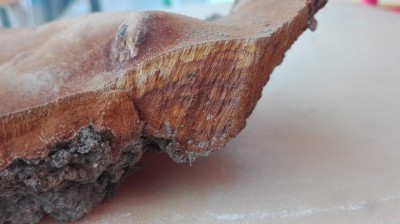 IMG_20160722_172713.jpg (65.69 KiB) Osservato 1294 volte IMG_20160722_172713.jpg