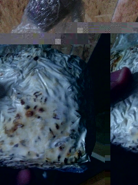 IMG_20161005_183424.jpg IMG_20161005_183424.jpg