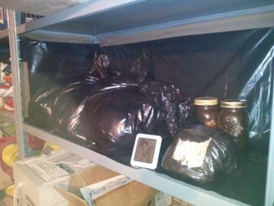 18360540_10210370791199436_1545891255_n.jpg (93.97 KiB) Osservato 6476 volte 18360540_10210370791199436_1545891255_n.jpg