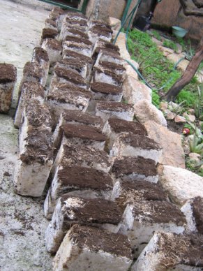 Immagine.149.jpg Immagine.149.jpg