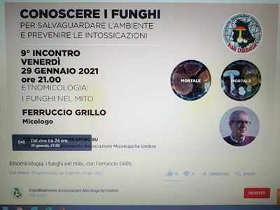 IMG_20210128_204603.JPG IMG_20210128_204603.JPG