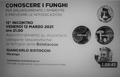 IMG_20210313_095152.JPG IMG_20210313_095152.JPG