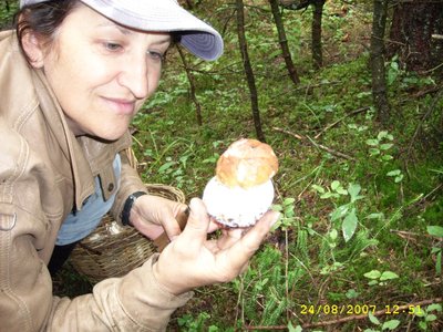 Funghi 2.JPG (344.55 KiB) Osservato 1120 volte Funghi 2.JPG