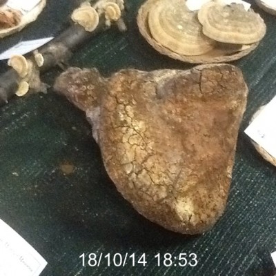 image.jpg (133.69 KiB) Osservato 1234 volte image.jpg