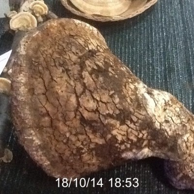 image.jpg (152.12 KiB) Osservato 1234 volte image.jpg