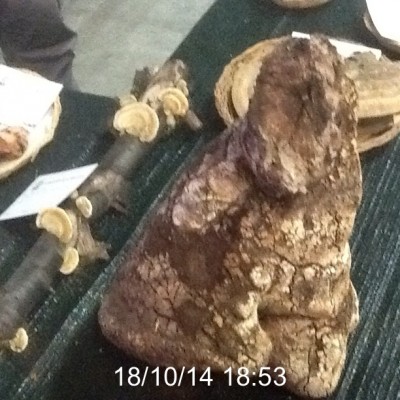 image.jpg (139.21 KiB) Osservato 1234 volte image.jpg