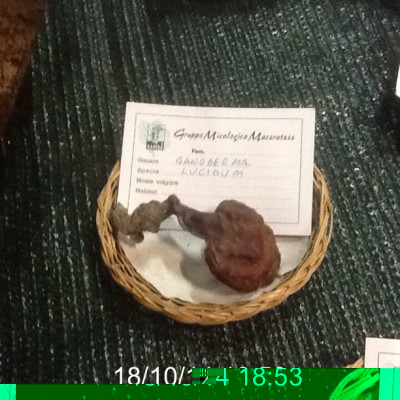 image.jpg (138.05 KiB) Osservato 1234 volte image.jpg