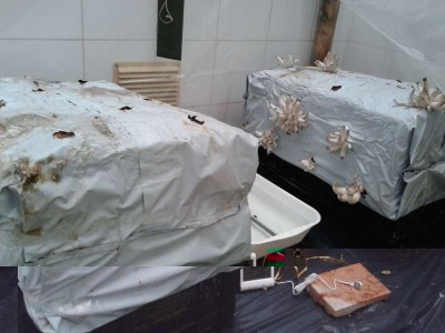 20141106_131542.jpg (39.48 KiB) Osservato 2888 volte 20141106_131542.jpg