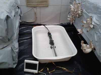 20141106_131535.jpg (36.06 KiB) Osservato 2888 volte 20141106_131535.jpg