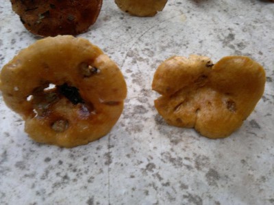 30112014769.jpg (78.51 KiB) Osservato 1325 volte 30112014769.jpg