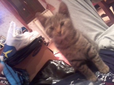 LUNA / Foto0538rid.jpg Foto0538rid.jpg