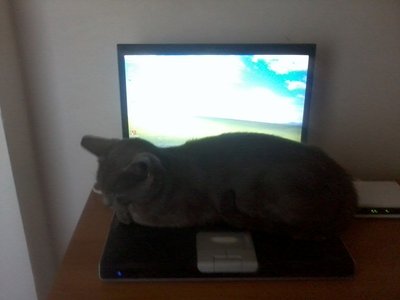 LENTICCHIA / Foto0569rid.jpg Foto0569rid.jpg